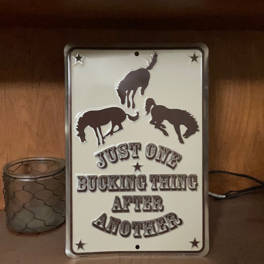 WESTERN HOME DECOR